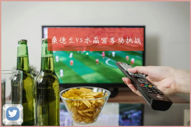 桑德兰vs水晶宫客场挑战