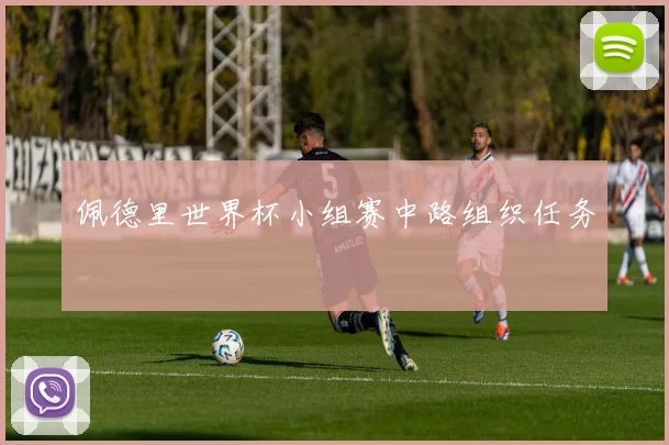 佩德里世界杯小组赛中路组织任务