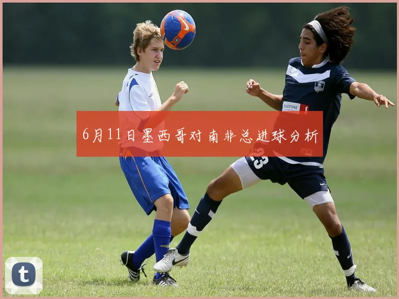 6月11日墨西哥对南非总进球分析