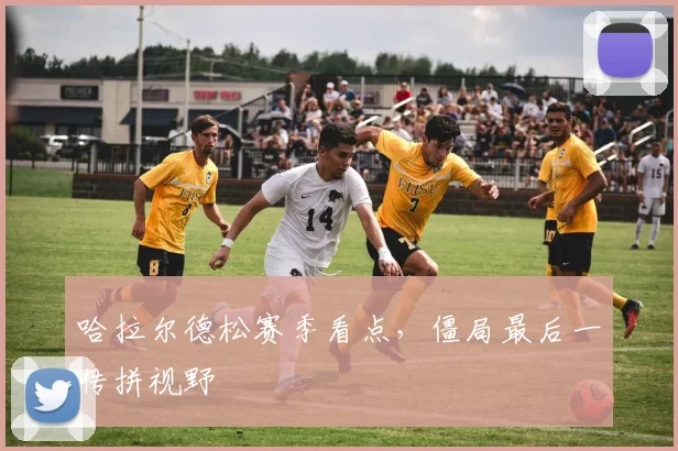 哈拉尔德松赛季看点，僵局最后一传拼视野