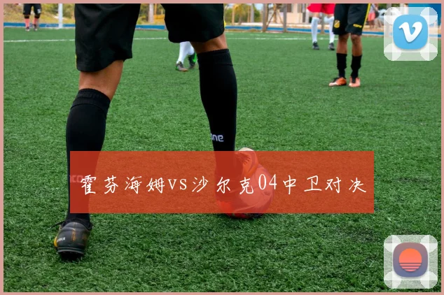 霍芬海姆vs沙尔克04中卫对决